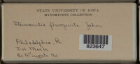 Image Associated With the Occurence